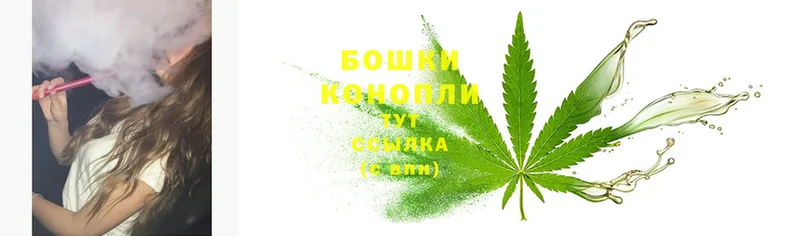 наркотики  Нарьян-Мар  Конопля SATIVA & INDICA 